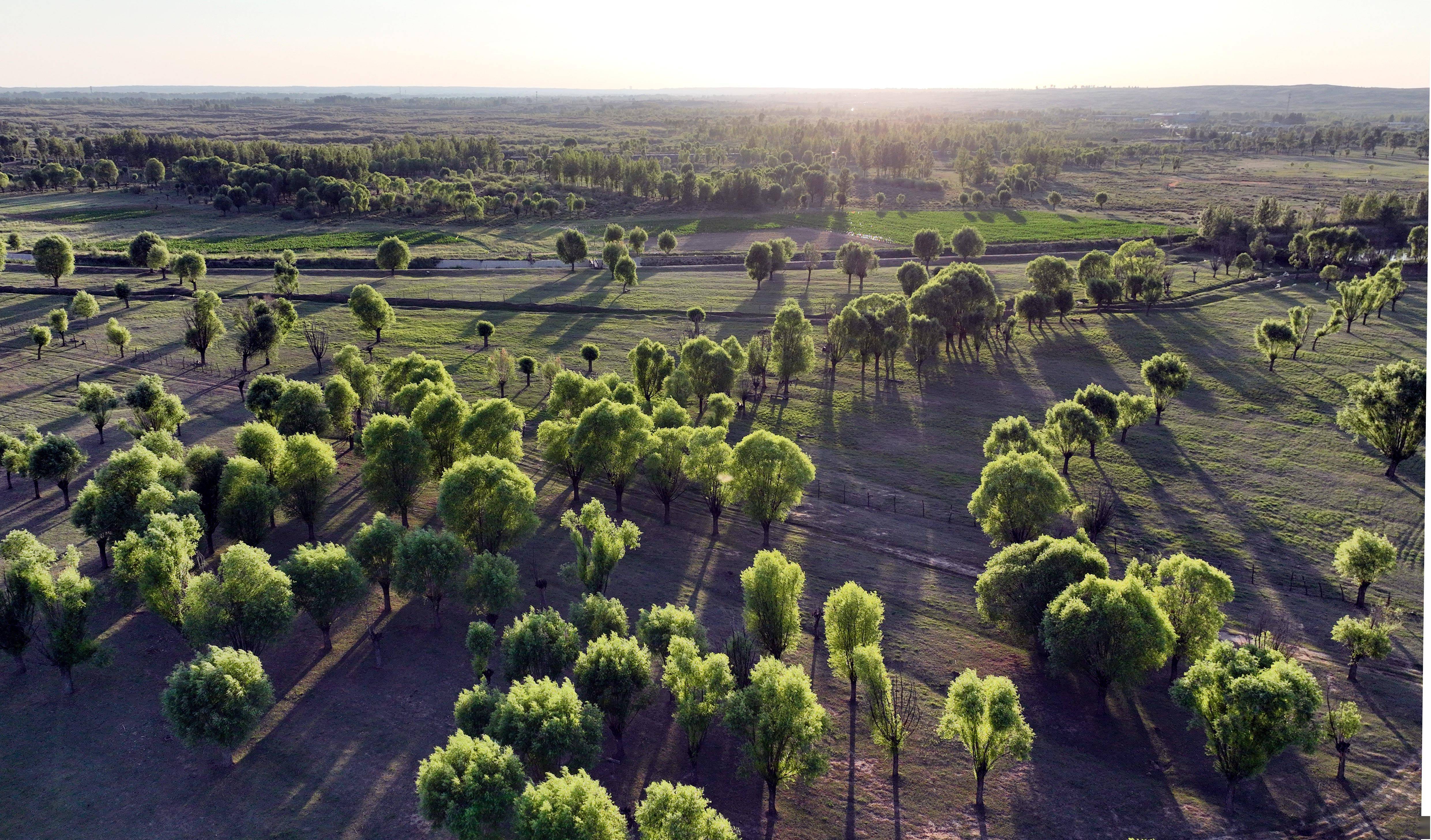 中国又完成一项壮举,只有我们能做到,领导地位就是这么来的