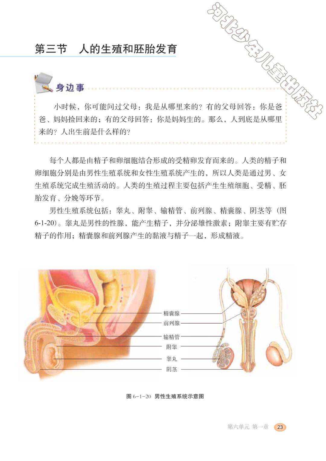 八下生物性状计算
  第1张
