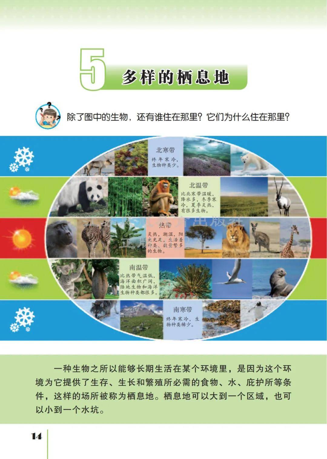 新教材苏教版六年级科学下册电子课本