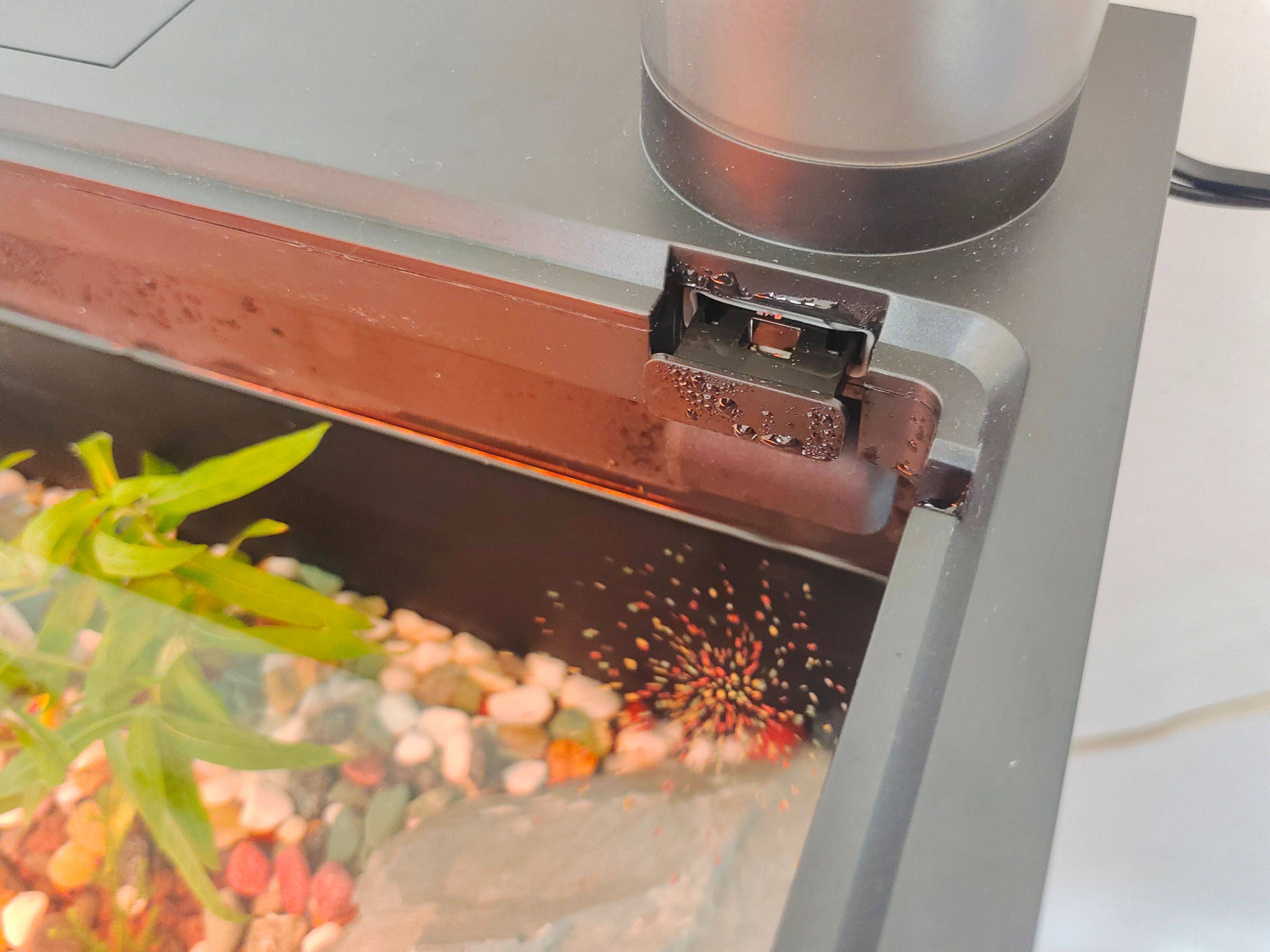 当贝智能鱼缸教你正确养鱼,一键搞定水流和投喂,养鱼如“摸鱼”一样轻松简单