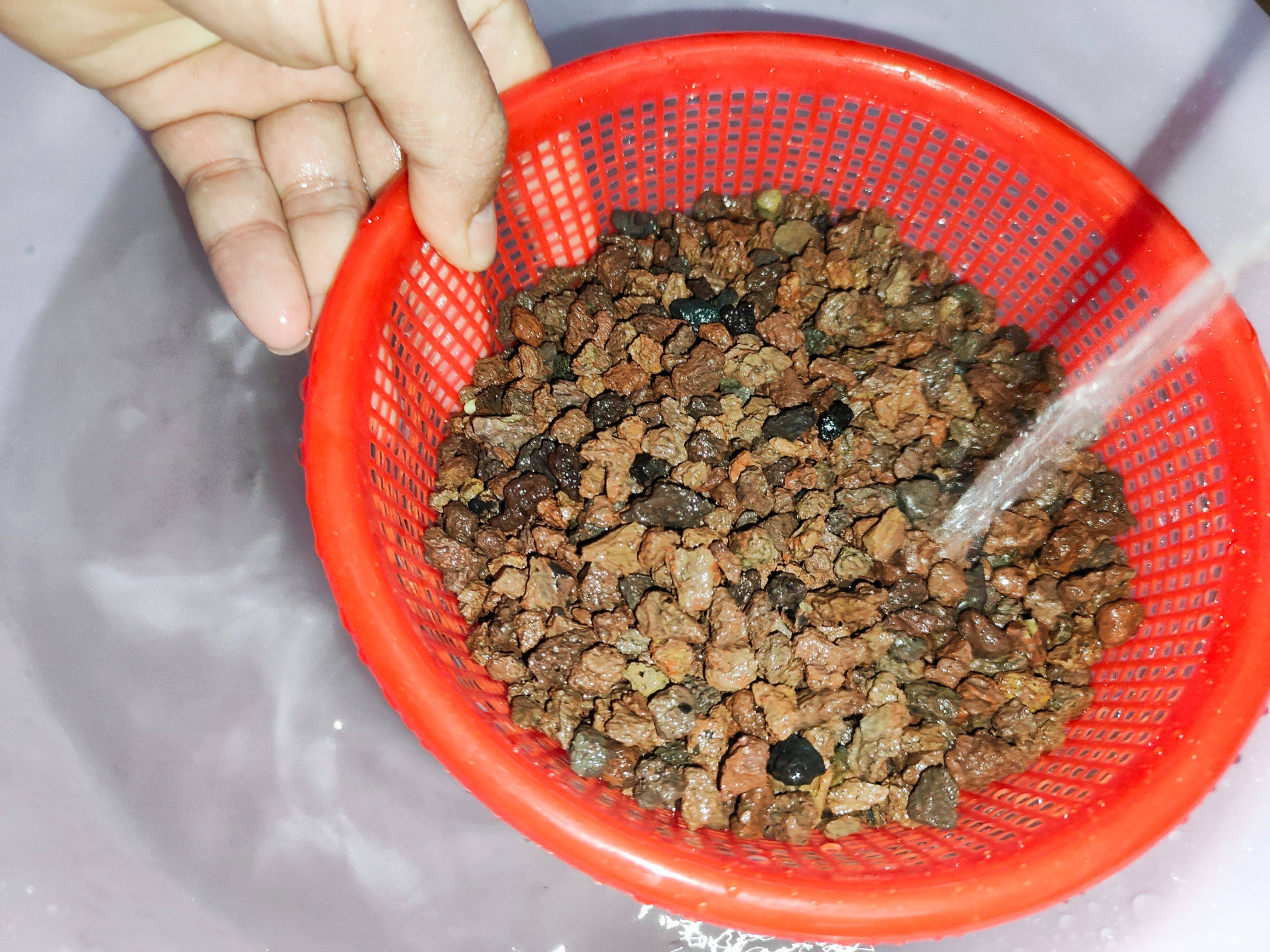 当贝智能鱼缸教你正确养鱼,一键搞定水流和投喂,养鱼如“摸鱼”一样轻松简单