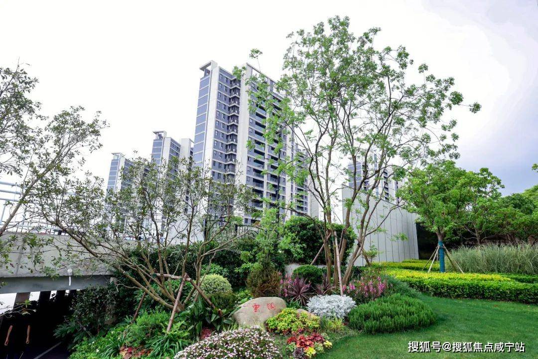 鹏瑞云璟湾(鹏瑞云璟湾)-2024年鹏瑞云璟湾首页网站-鹏瑞云璟湾楼盘详情 /价格/户型_四房_人才_优惠