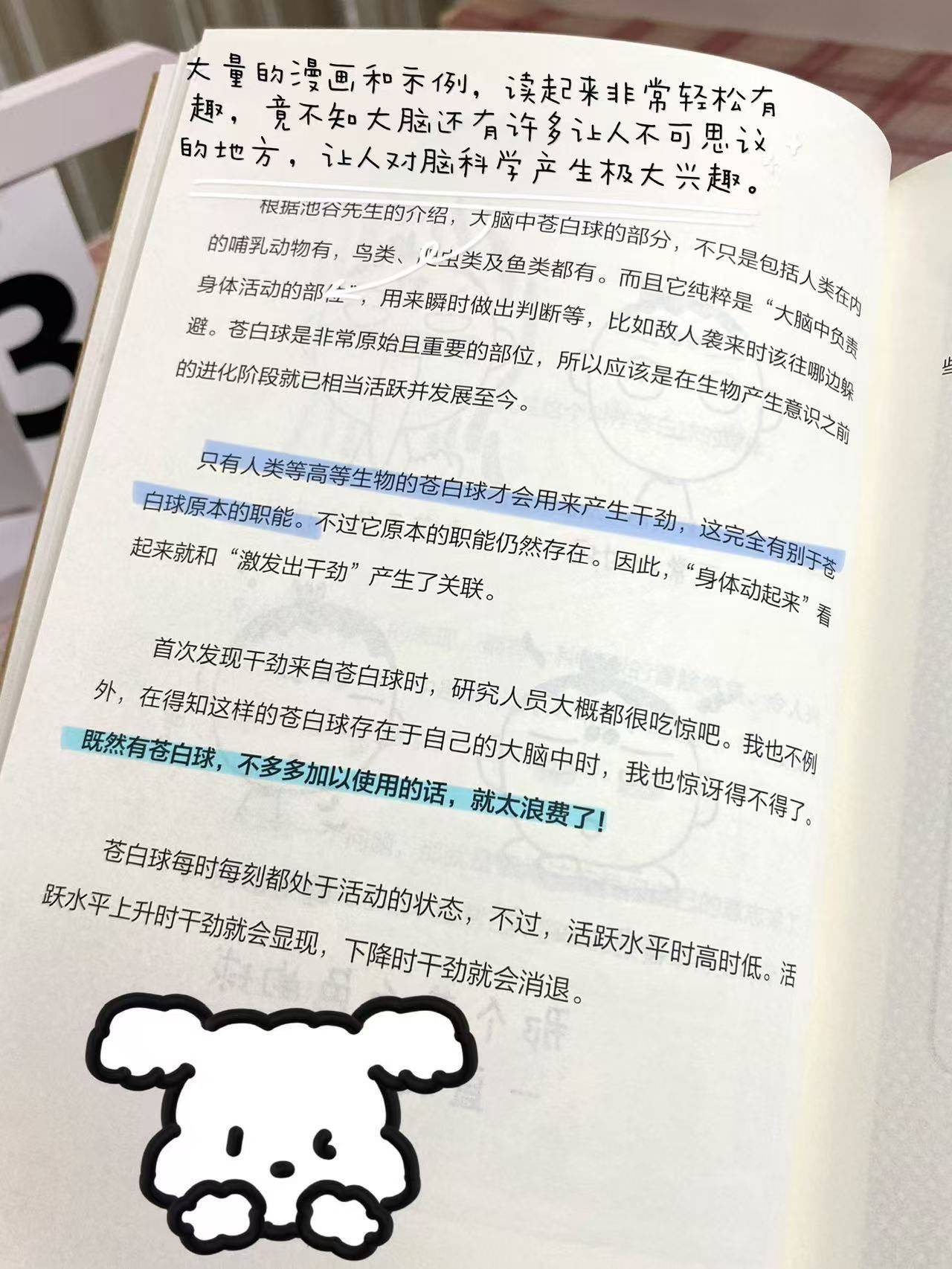 考试脑科学-苍白球持续存在