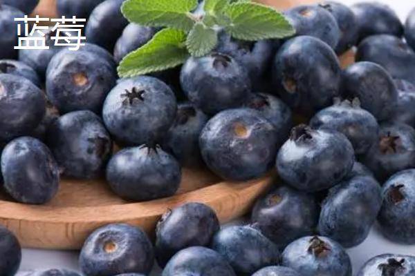 黑加仑和蓝莓有什么区别,黑加仑的颜色接近黑色,蓝莓通常呈蓝色