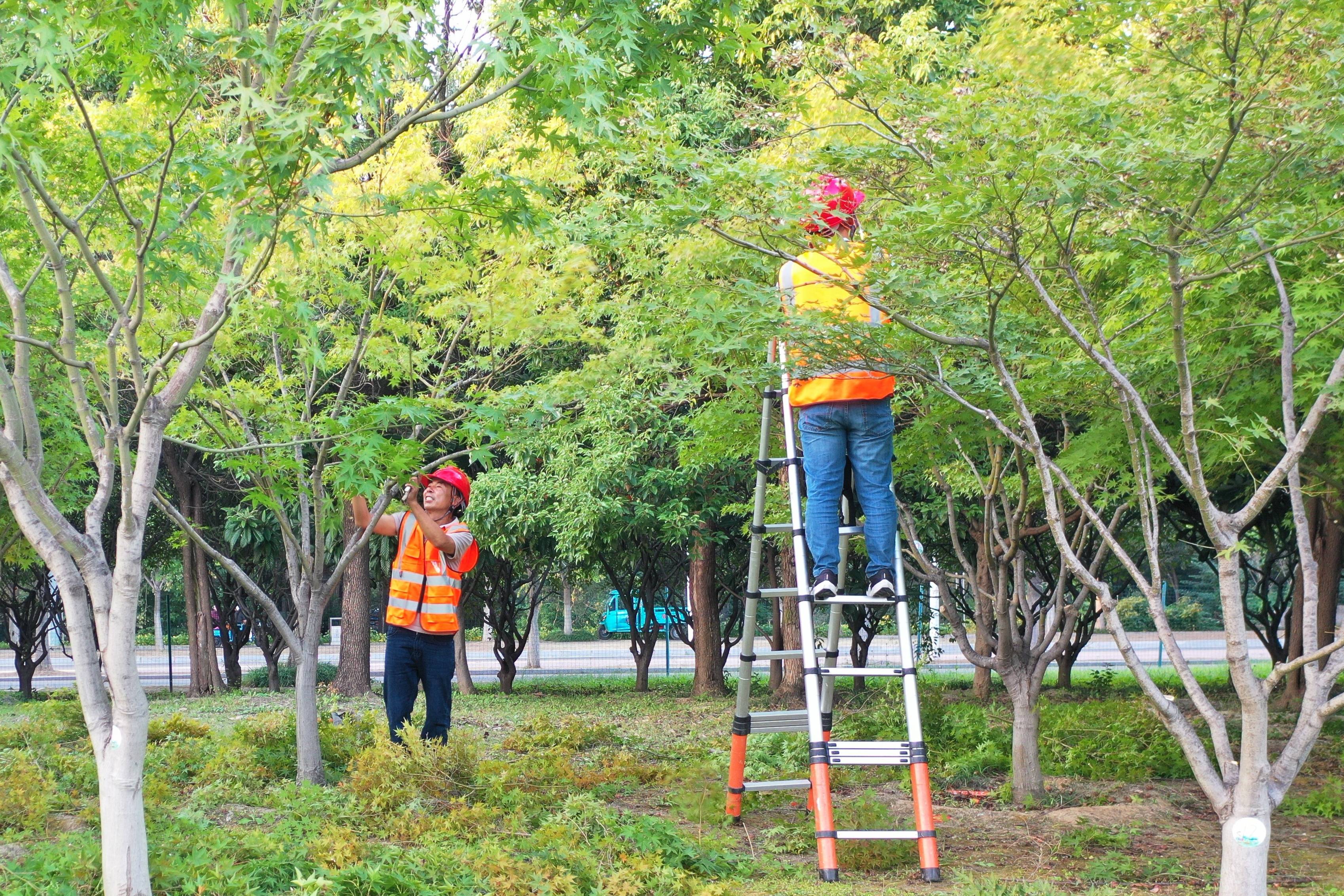 《园林绿化工》分为几类?报名通道,要求,材料