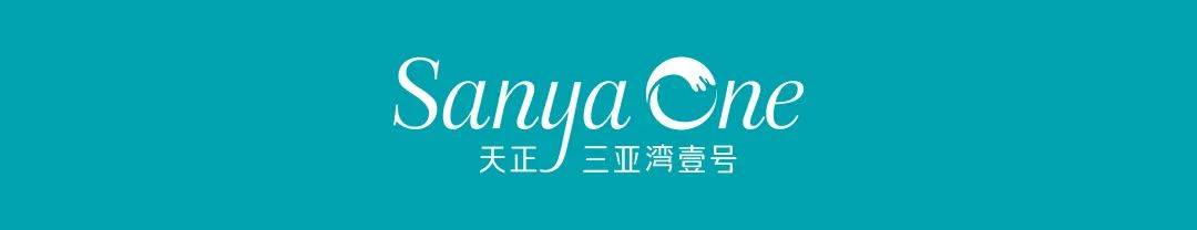 三亚天正三亚湾壹号-首页网站-2024年最新房价＋户型图＋小区环境＋配套|一键预约，尊享内部独家折扣！匠心独运的精品项目，恭候您的品鉴与选择 ...