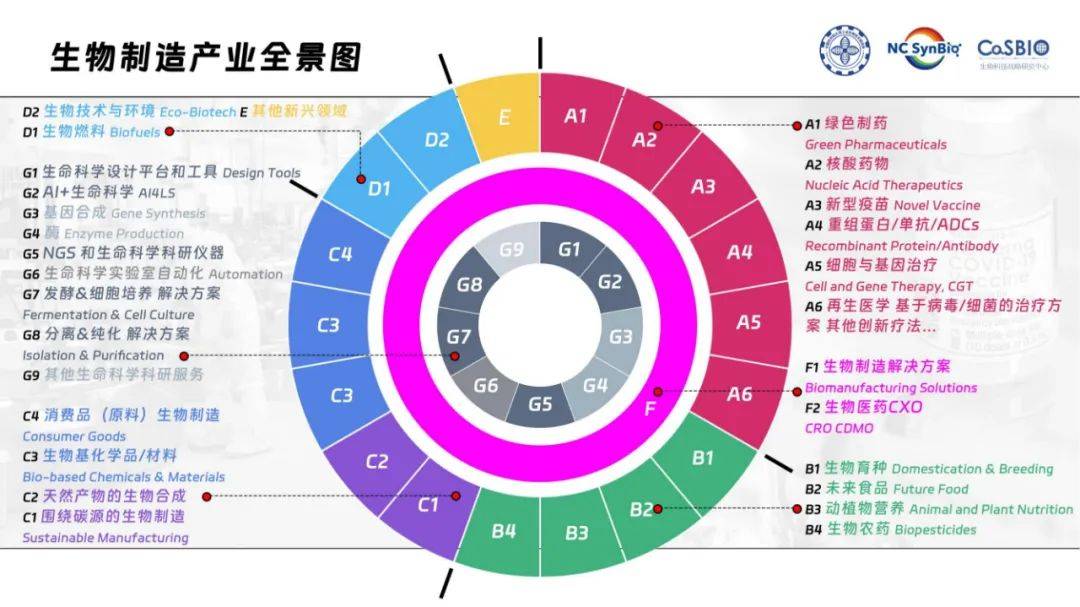 2024年中国工业生物技术发展白皮书，工业生物技术的发展现状分析