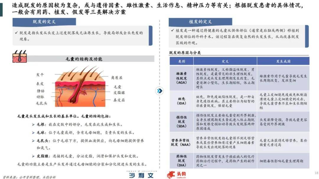 2024年中国毛发健康服务行业分析，中国植发行业全产业链分析报告