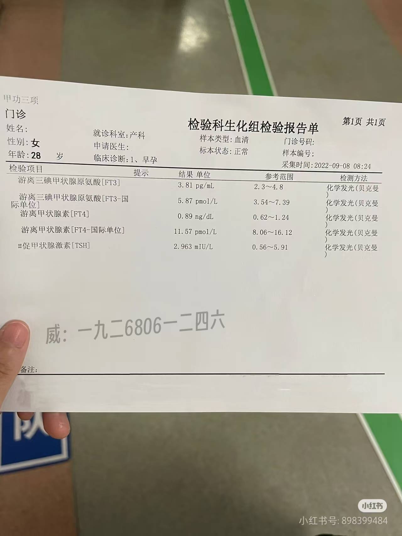 hcg报告单图片图片