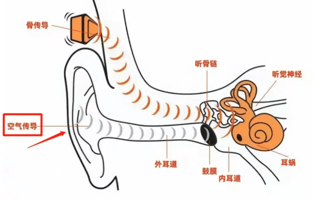 性价比高的蓝牙耳机排行有哪些？性价比高的蓝牙耳机榜测评分享