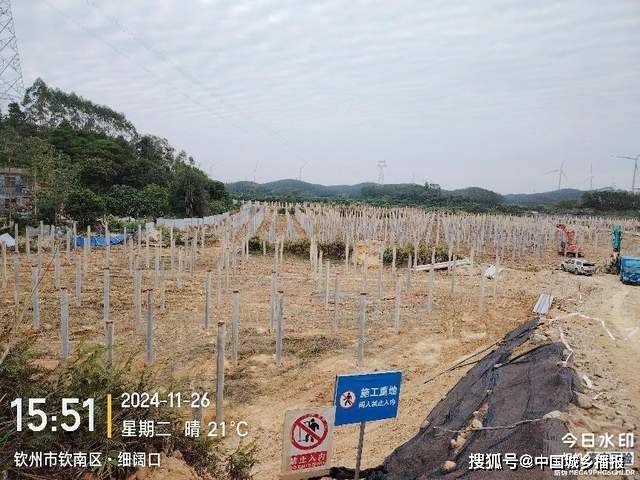 广西钦州光伏项目："以租代征&qu