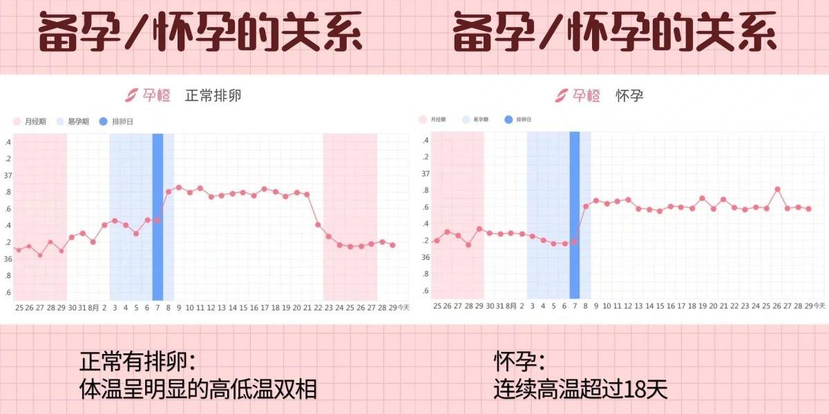 什么是排卵夫妻如何备孕(快到排卵期有什么反应)