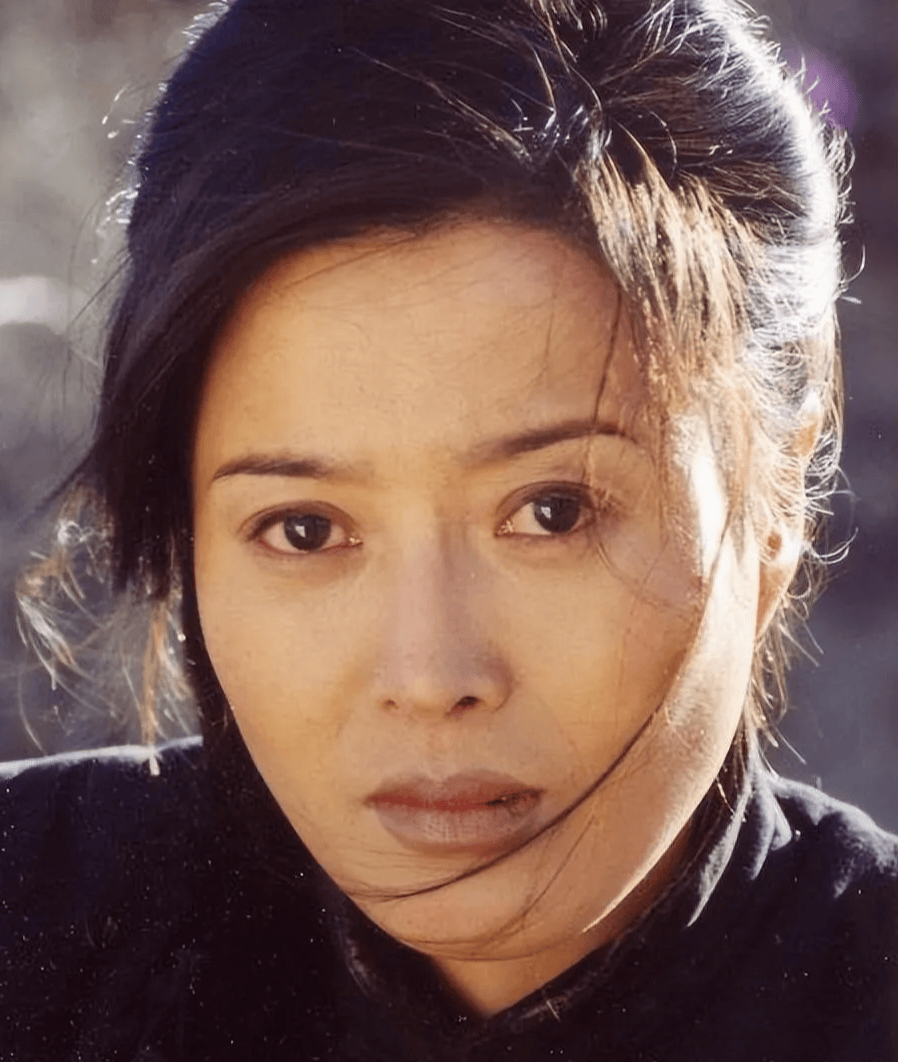 丁嘉丽63岁的人生哲学大揭秘从爱与婚姻的风暴中重生教你如何优雅地