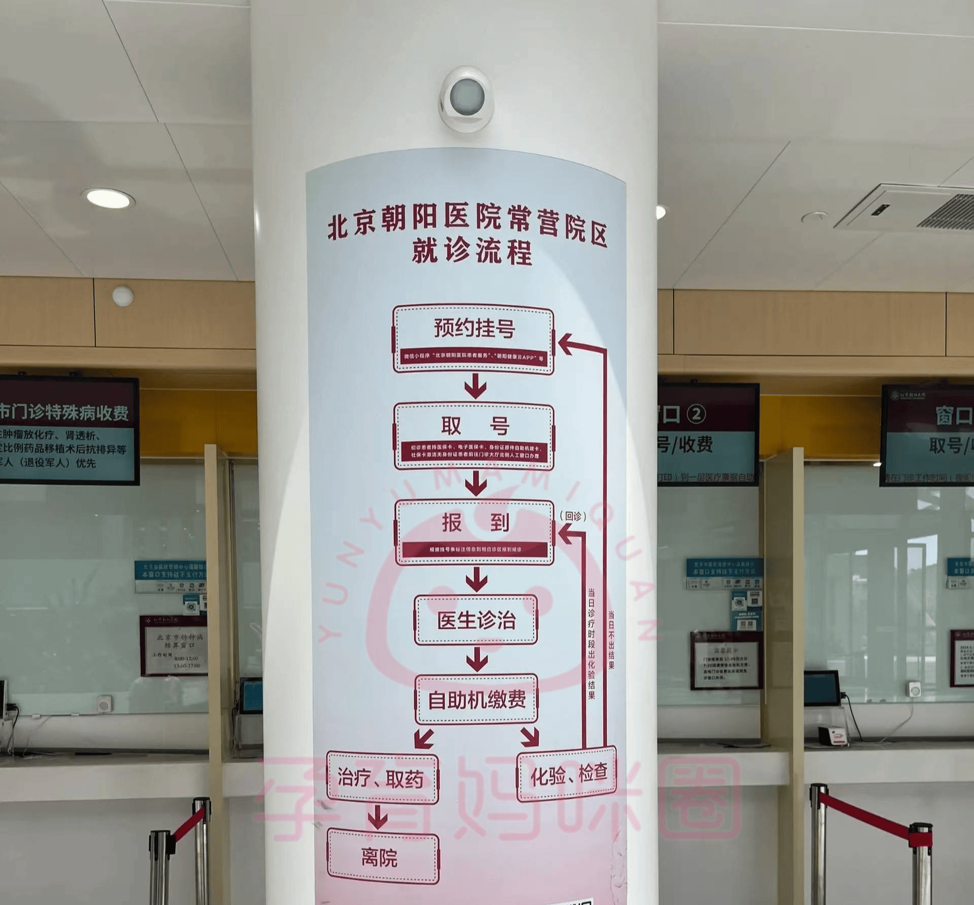 关于朝阳医院预约检查陪诊挂号合规加急协调的信息