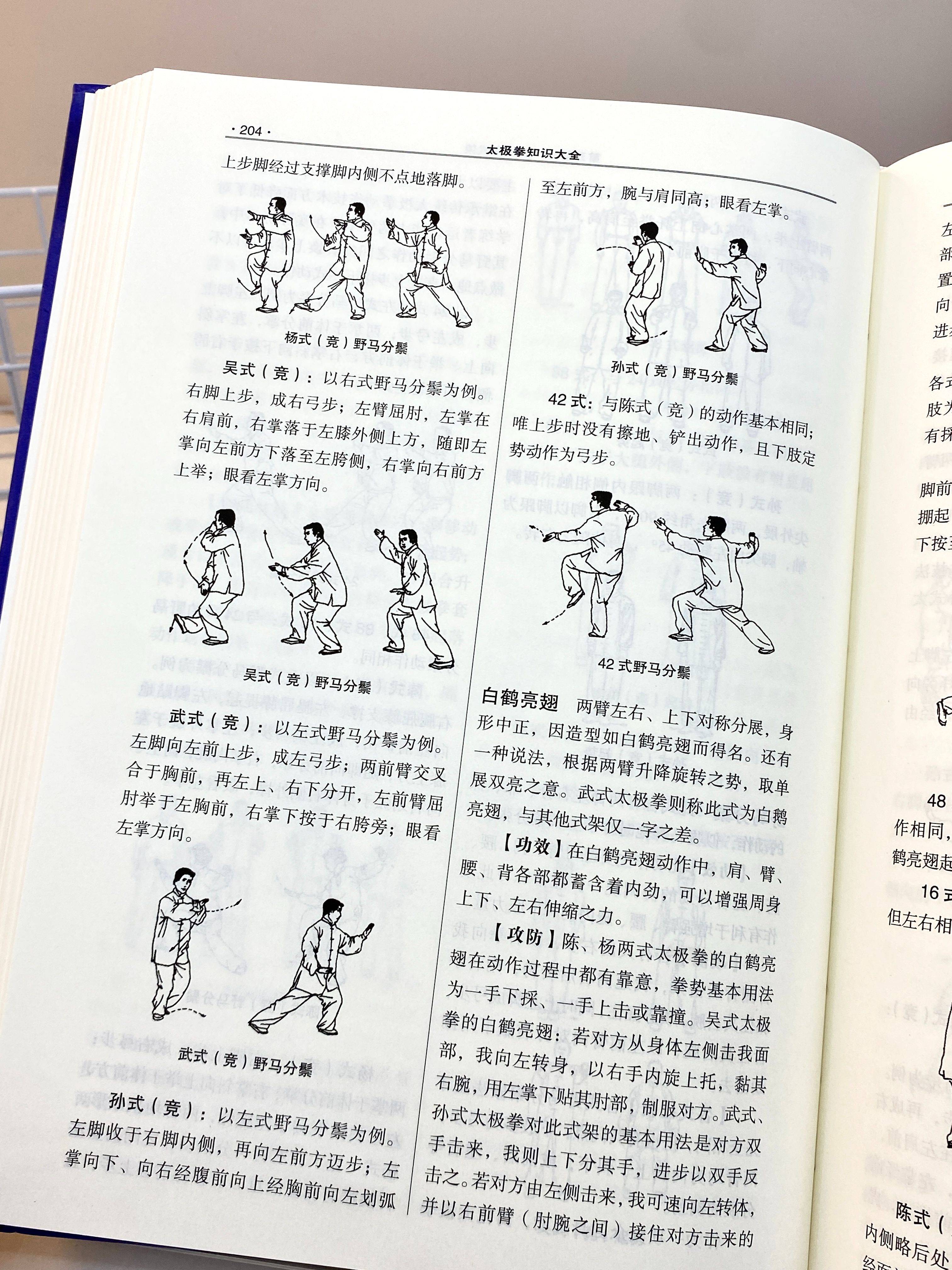 道家养生太极拳哪个是正宗的(道家养生太极拳哪个是正宗的呢)