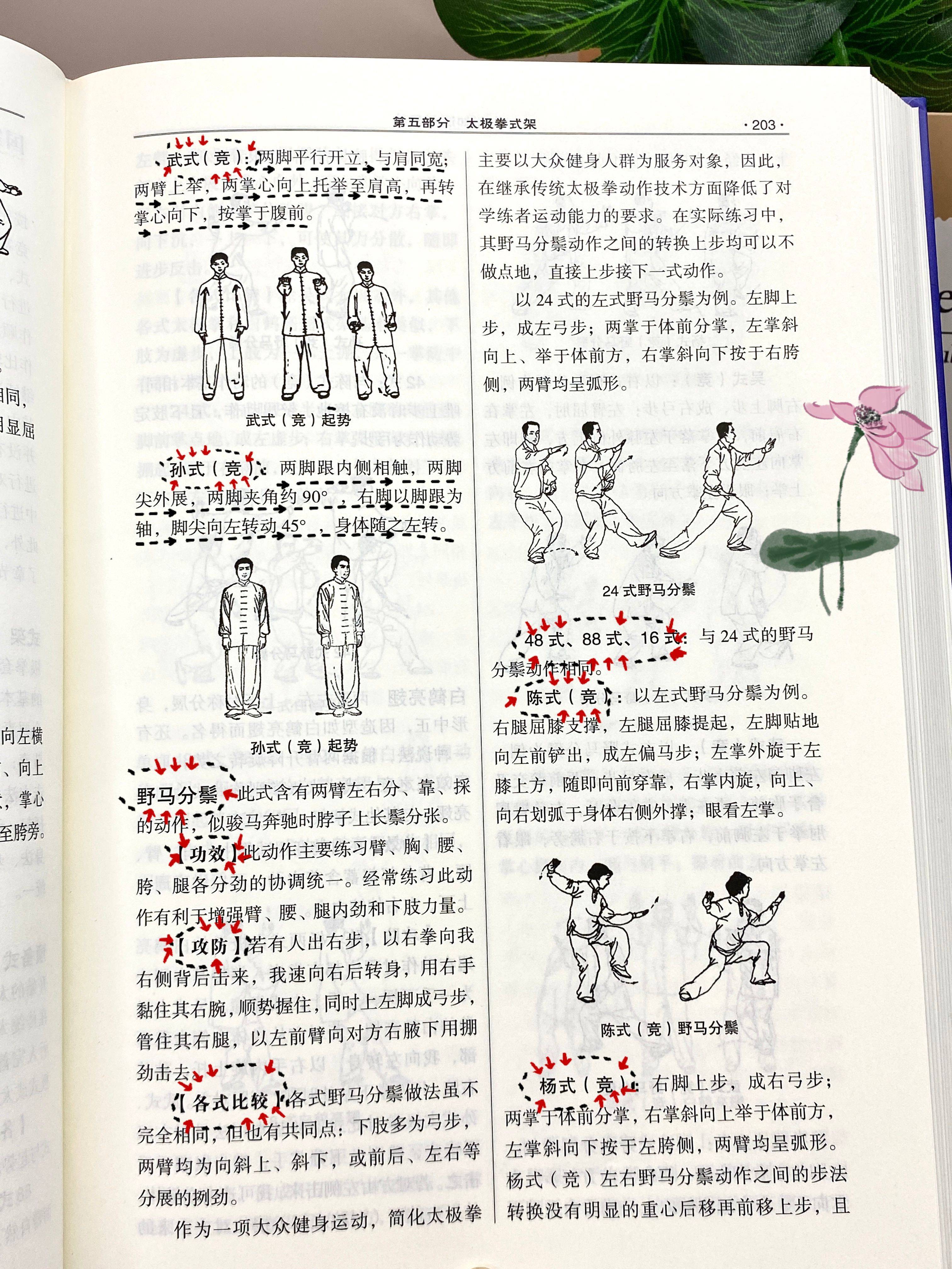 太极拳套路式架