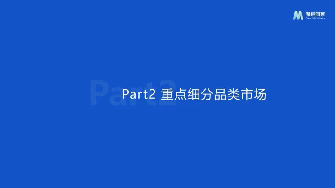 魔镜洞察：2024年饮料市场调研分析报告，饮料行业重点细分品类分析