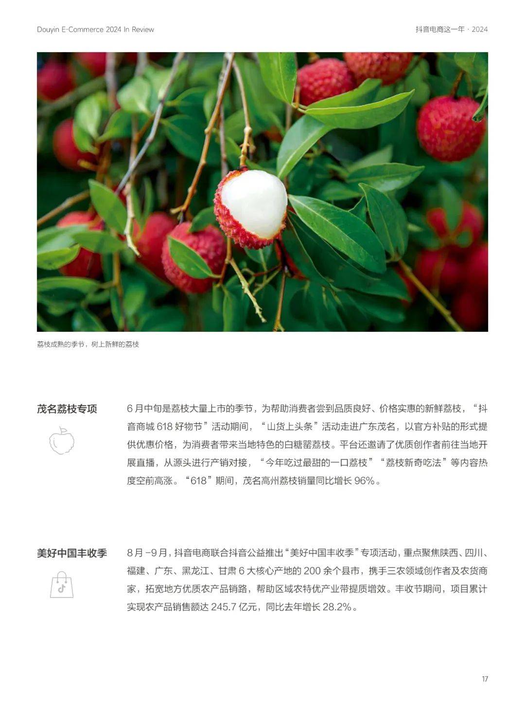 抖音电商：2024年农村电商的创业机会有哪些？农村电商十大创业方向-报告智库