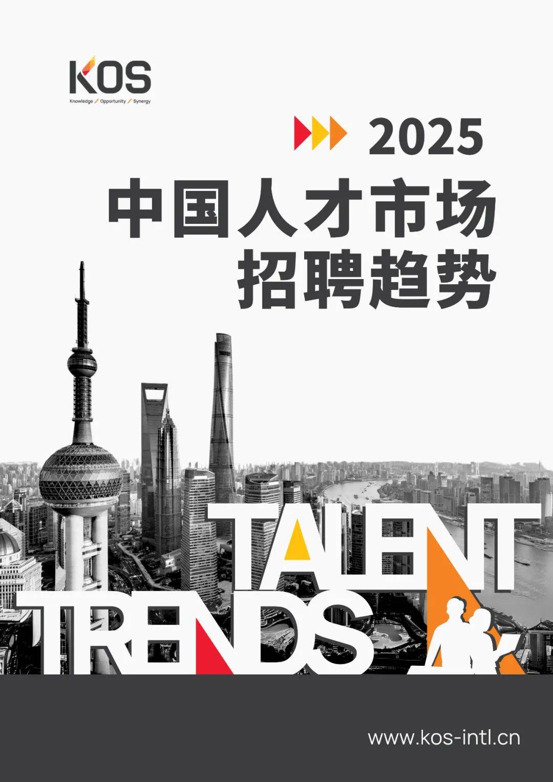 2025年中国人才市场招聘趋势怎么样？数智化转型将成为必然趋势-报告智库