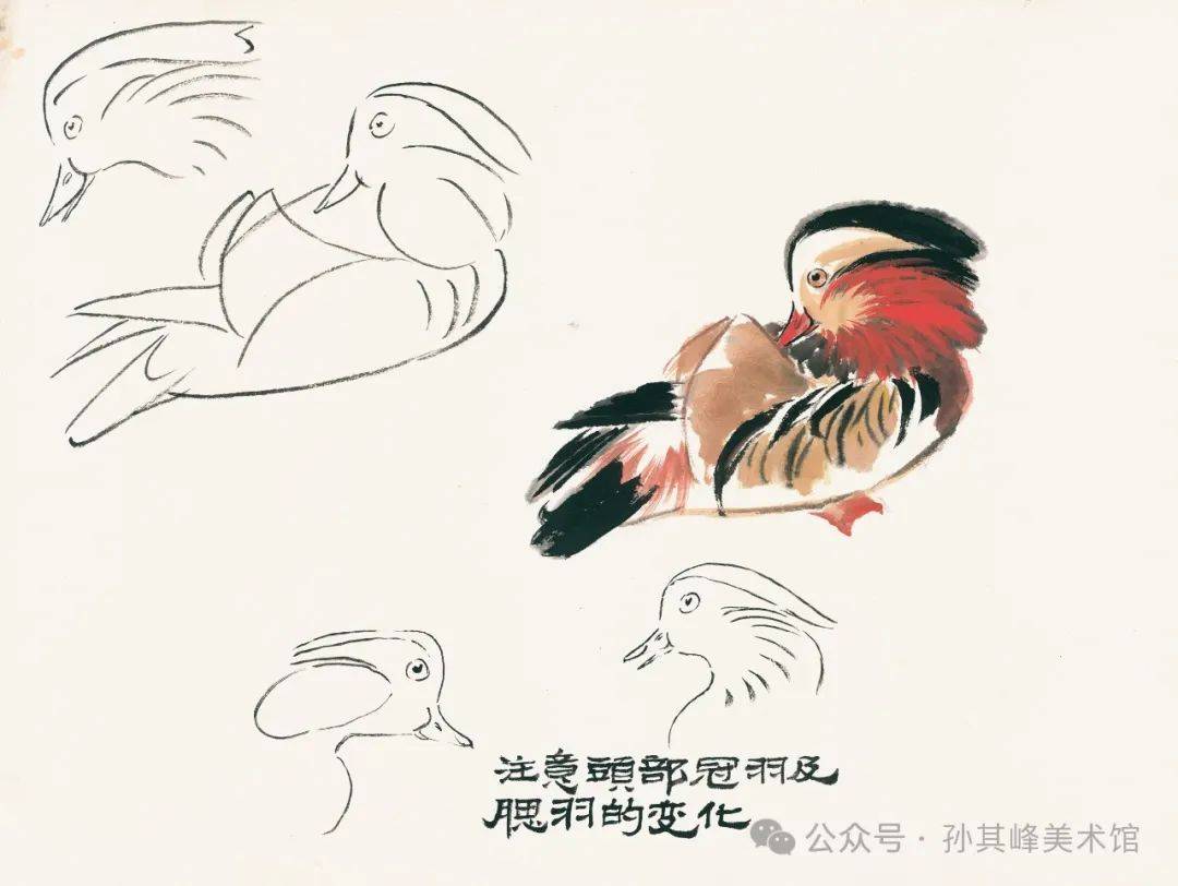 孙其峰中国画教学课徒稿展探寻大师艺术创作之源