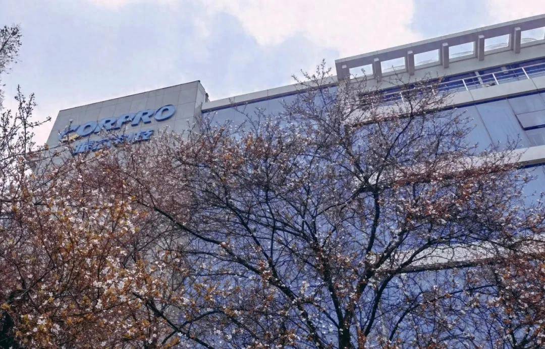 振芯科技变更实控人 牵出国腾电子何燕是否“纸