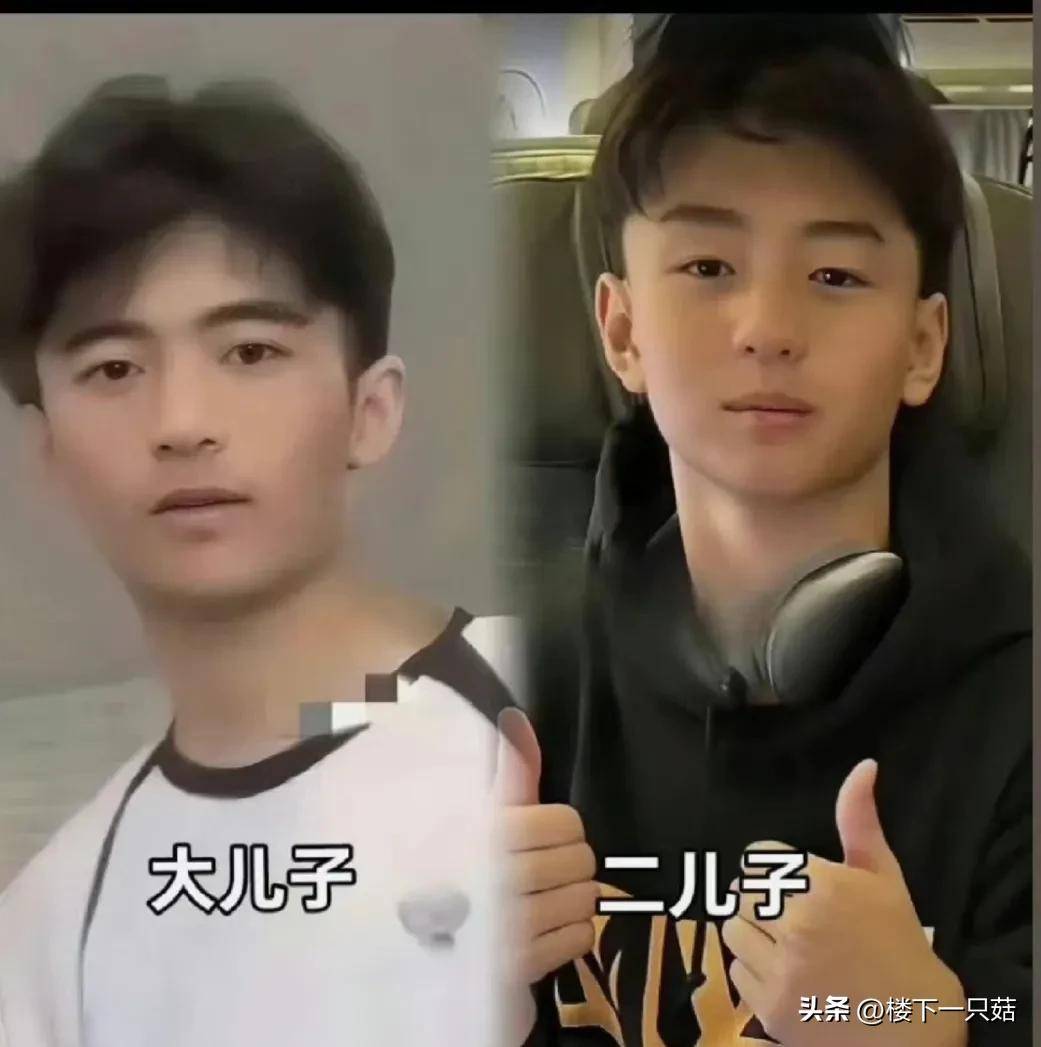 王伯伯和儿子