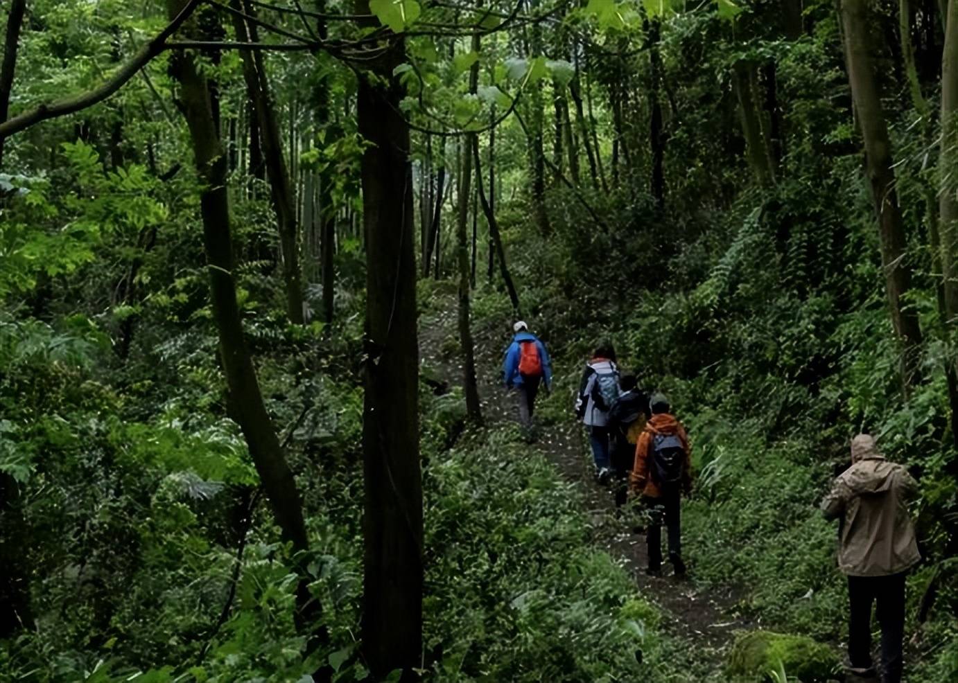 四川黄泉路:国内一级禁区,政府下令封禁400年,谜团至今未解