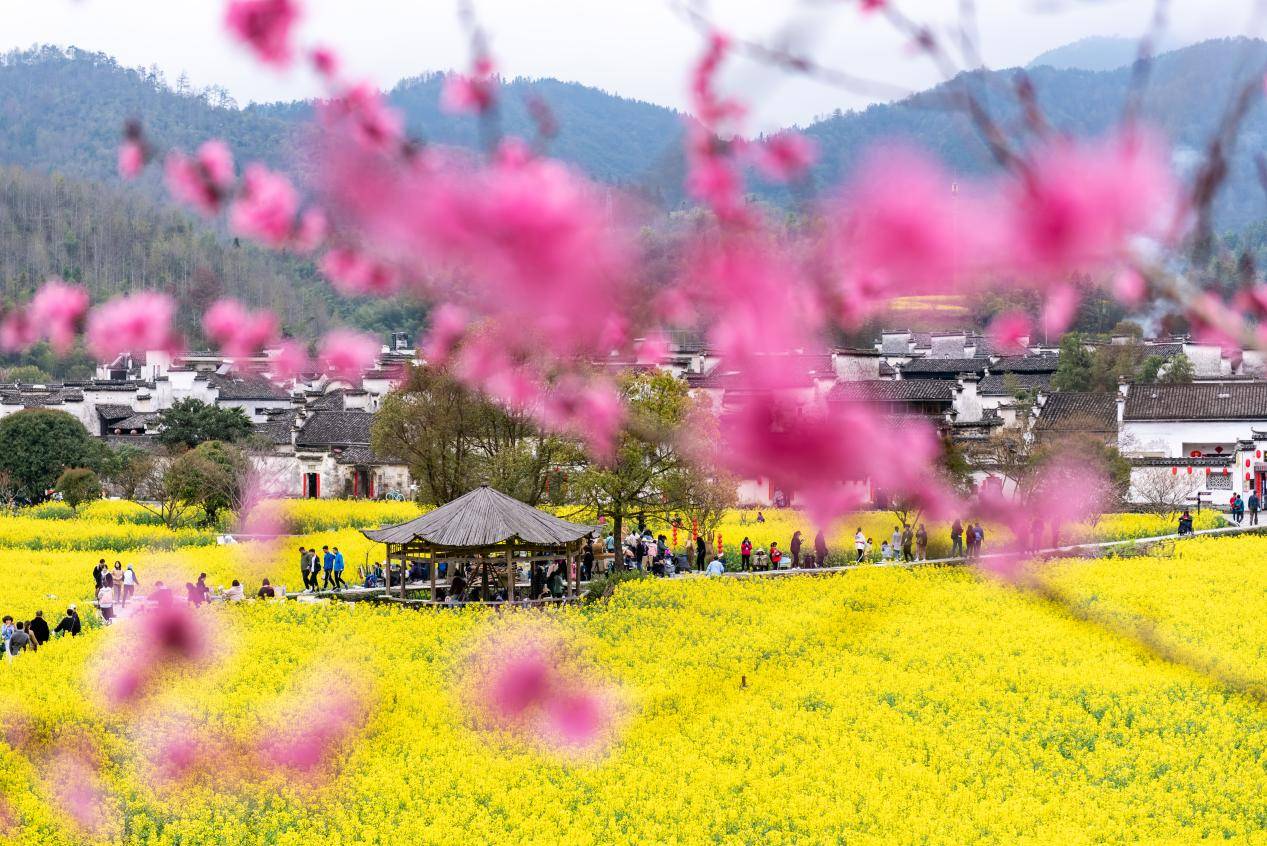 《眼儿媚·三月桃花》庄灿煌