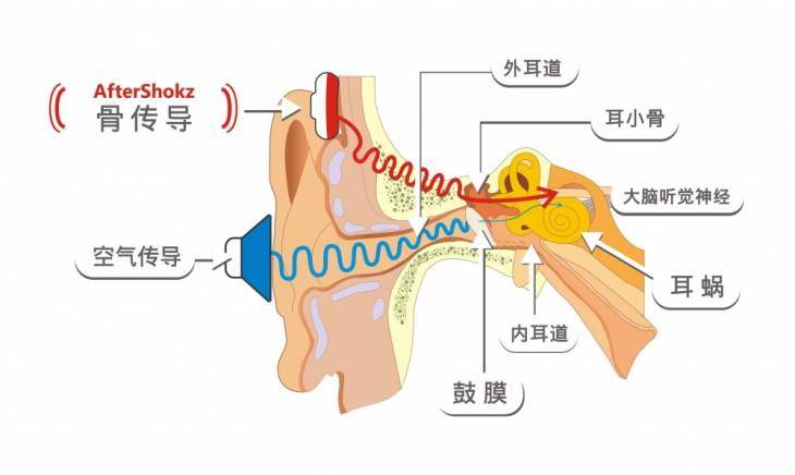 游泳耳机入耳式好,还是骨传导好?游泳耳机推荐品牌大揭秘!