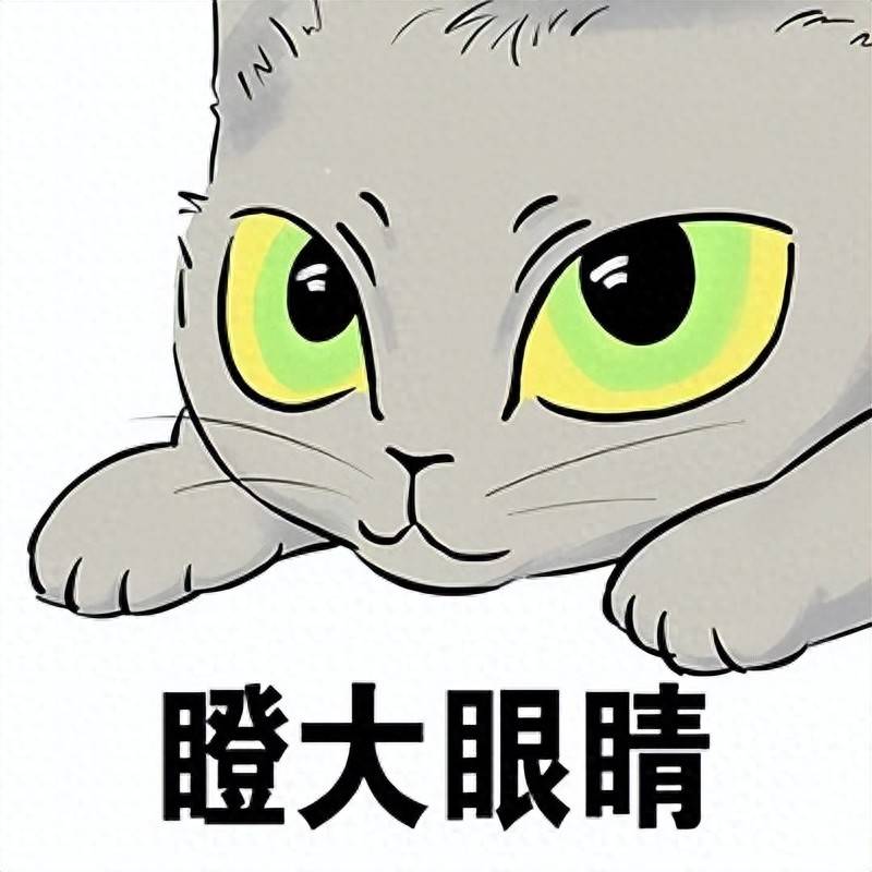 追星购票遇“内渠”陷阱，法院严惩诈骗犯