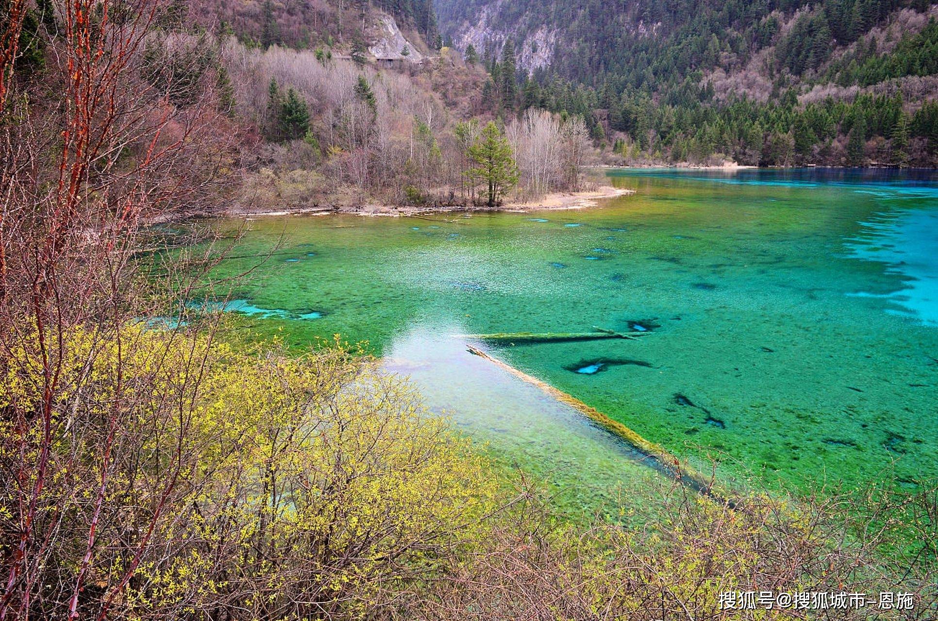 暑假适合去哪里旅游,经济又实惠四川的简单介绍