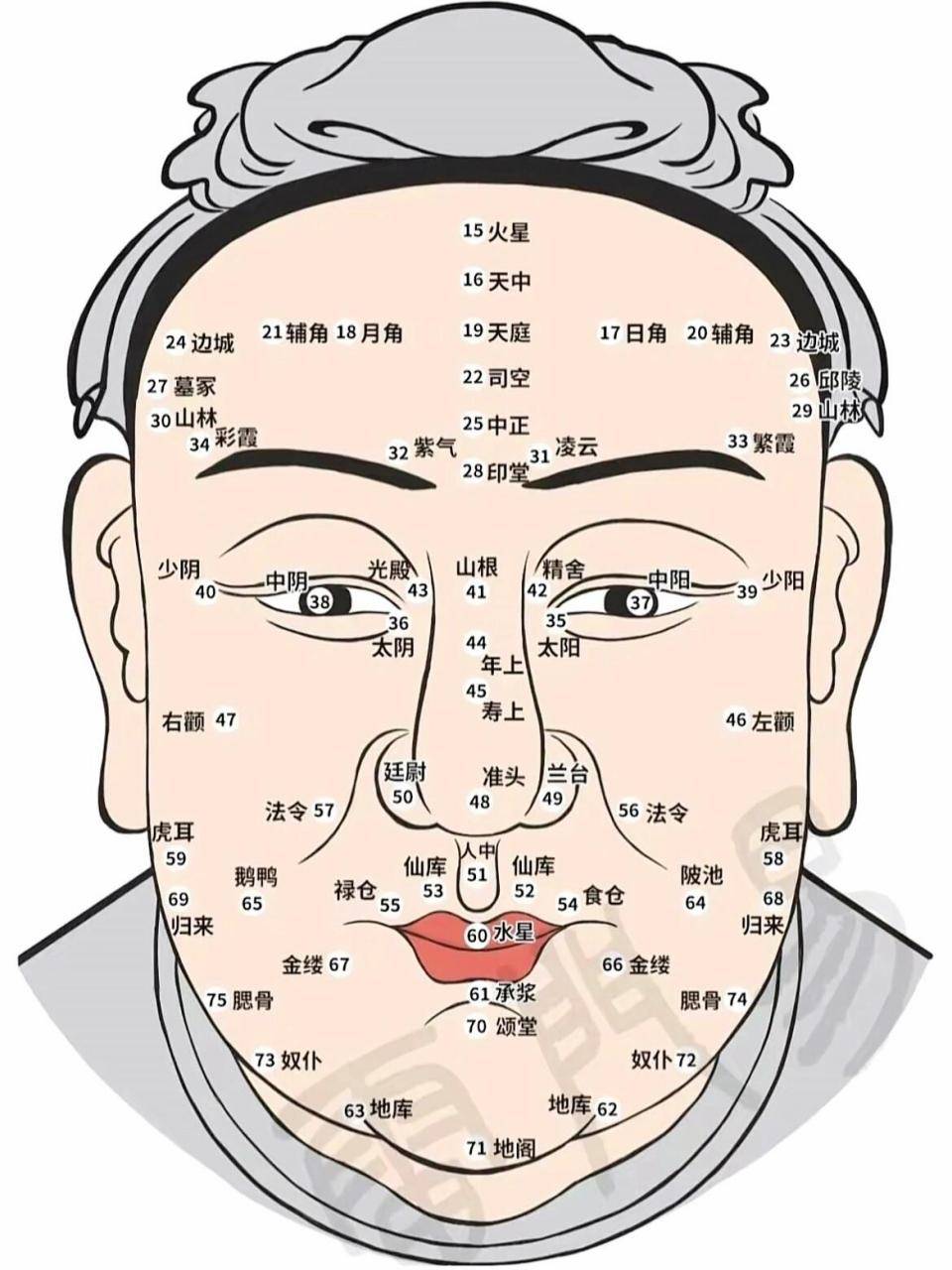 五道】聊人体面相学知识