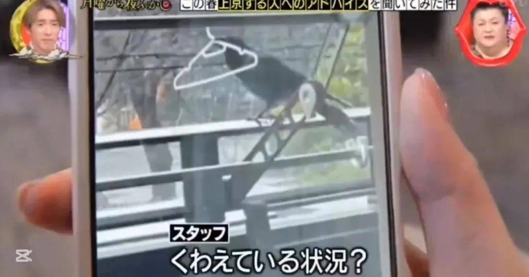 日本综艺恶意剪辑中国女生言论引公愤！电视台罕见致歉