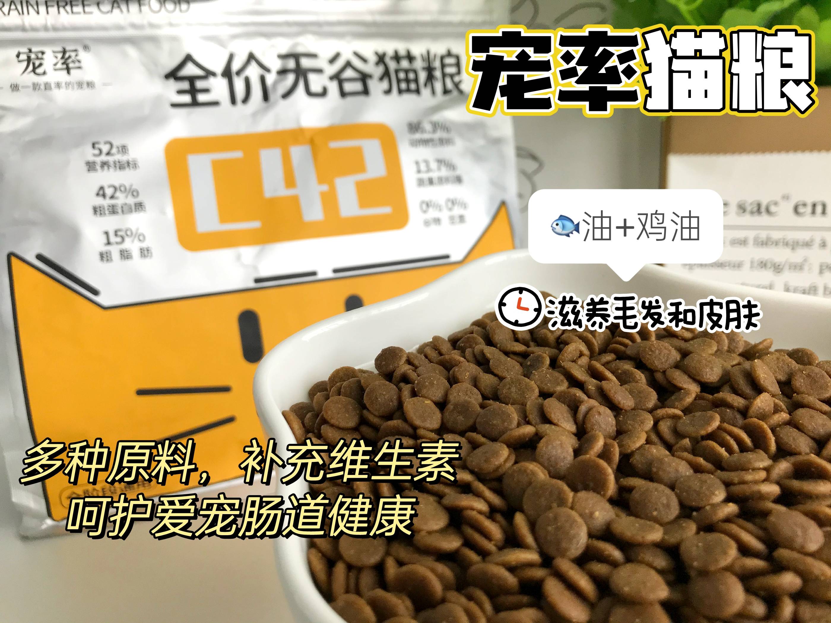 狮子猫吃什么猫粮好？记住这几招就好了！（狮子猫应该吃什么样的猫粮）