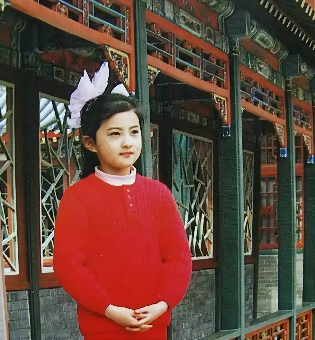 小婉君金铭44岁现状因个子太矮事业受挫如今单身未婚未孕