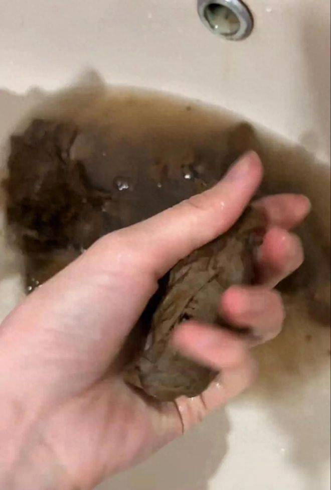 女大学生外卖屡被盗,自制"粪便餐"伪装,结果又被偷