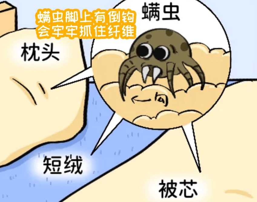家用除螨仪哪个牌子好用？除螨仪哪个品牌靠谱？良心推荐这2款！