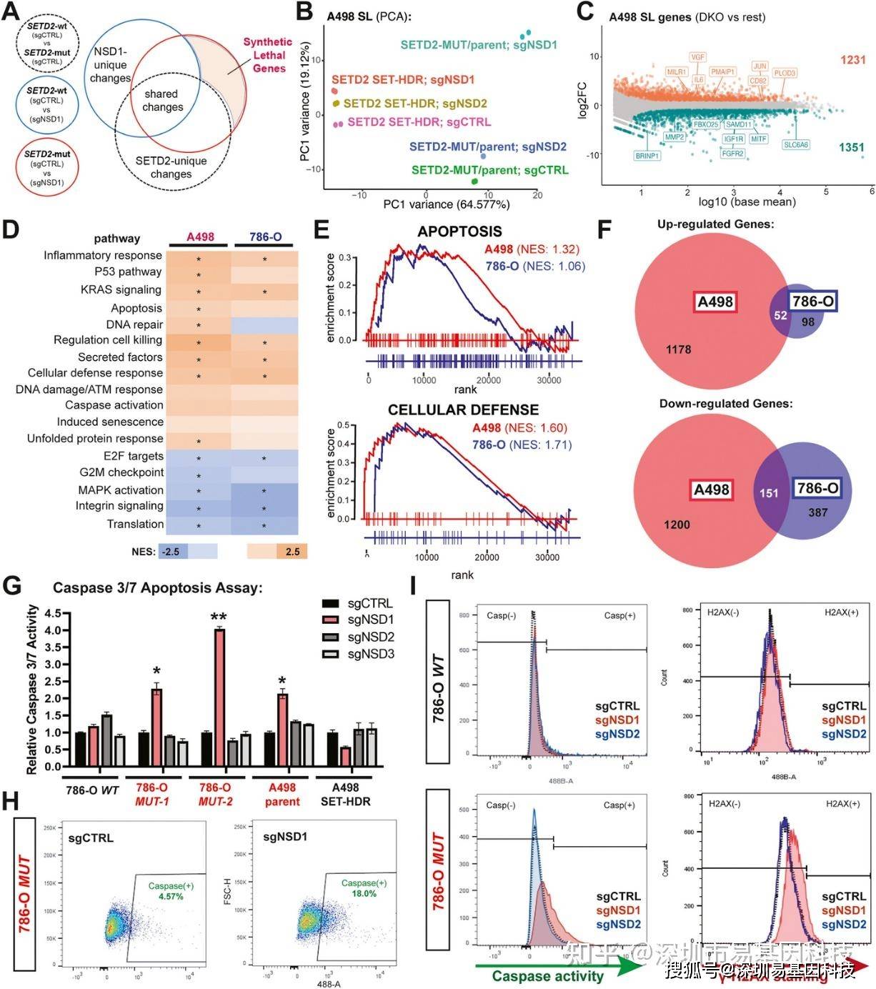 resultsetmetadata的简单介绍