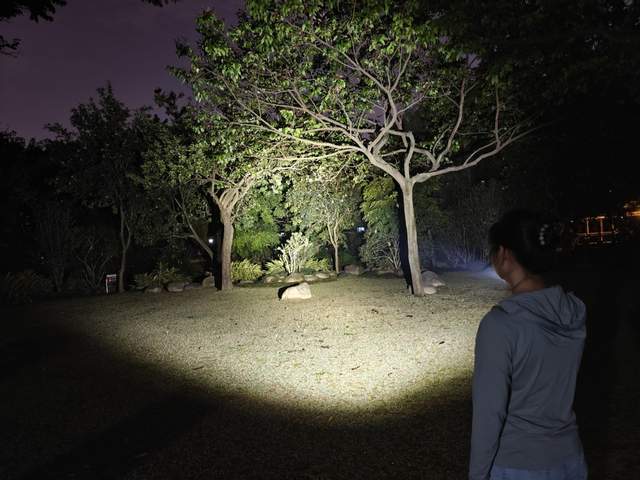 菲尼克斯 TK17 战术手电：暗夜中的光芒利刃