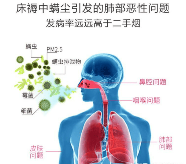 除螨仪品牌排行榜前十名：2025十大公认好用除螨仪推荐测评