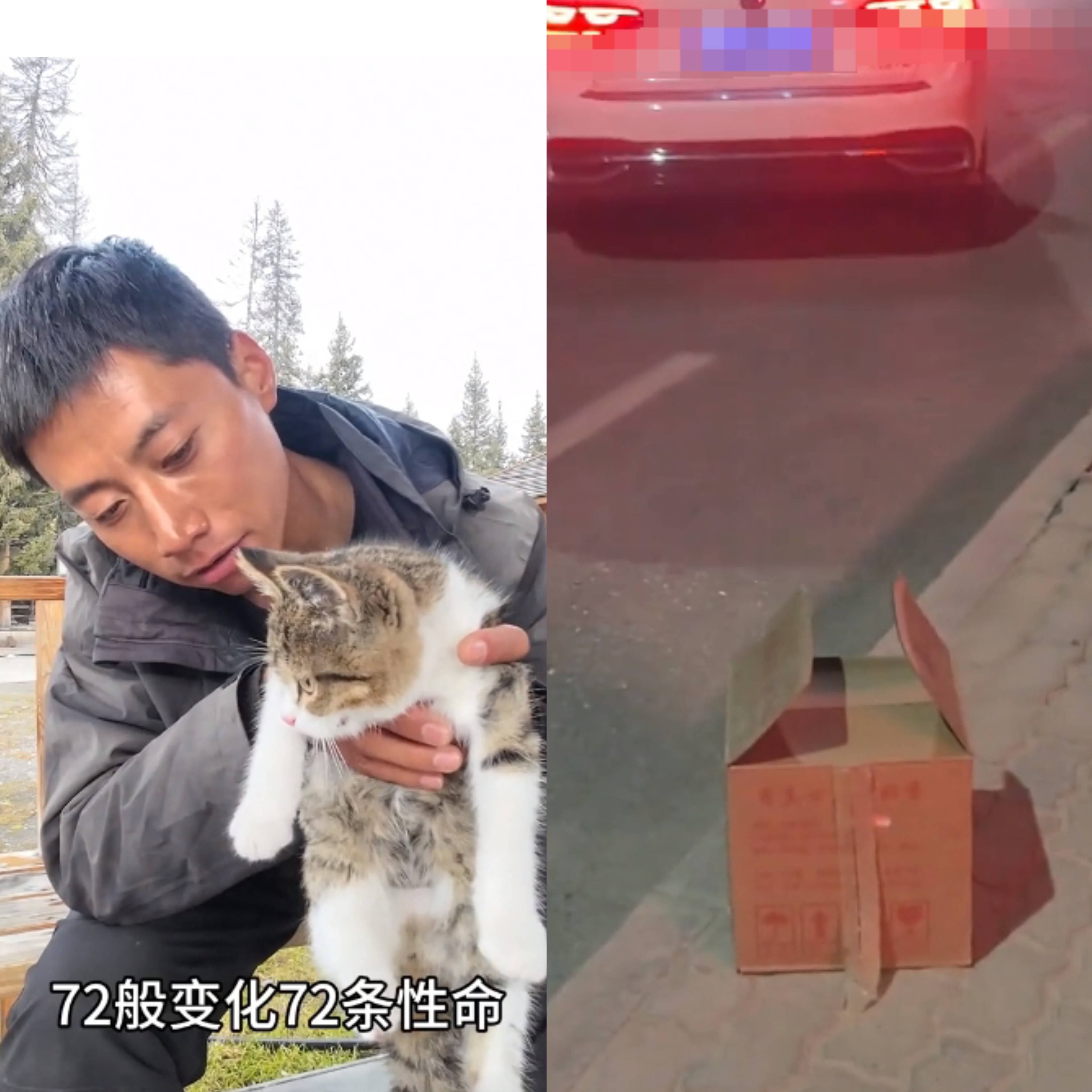 小猫悟空出车祸去世,赵朔哭红眼,当地警方称他本人现在很安全