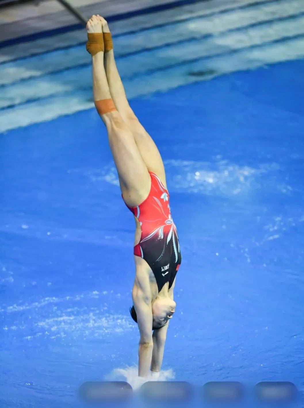 "五一"水立方盛宴,跳水世界杯热力来袭,全红婵全力备战冲击满贯