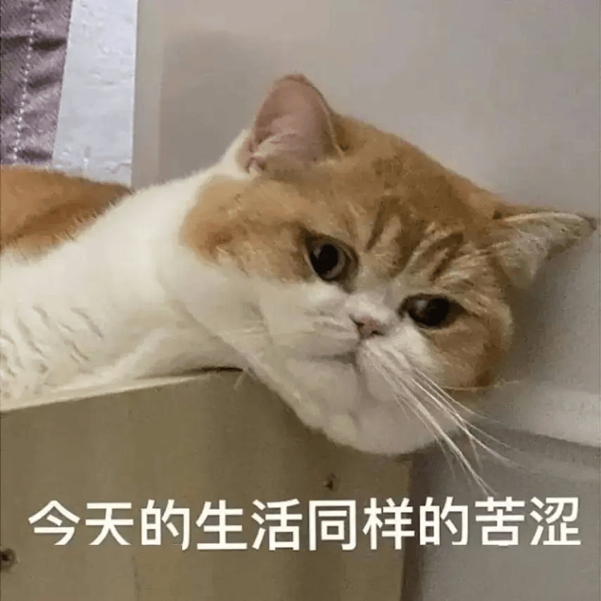 在国内学院学习？价格为248元，仍在领先全国。