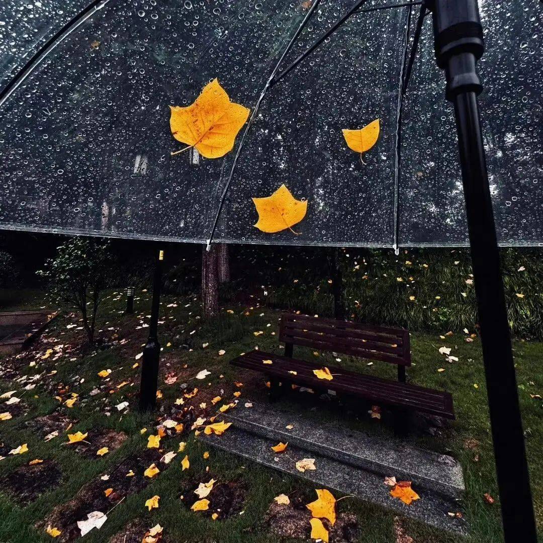 极具氛围感的雨天头像