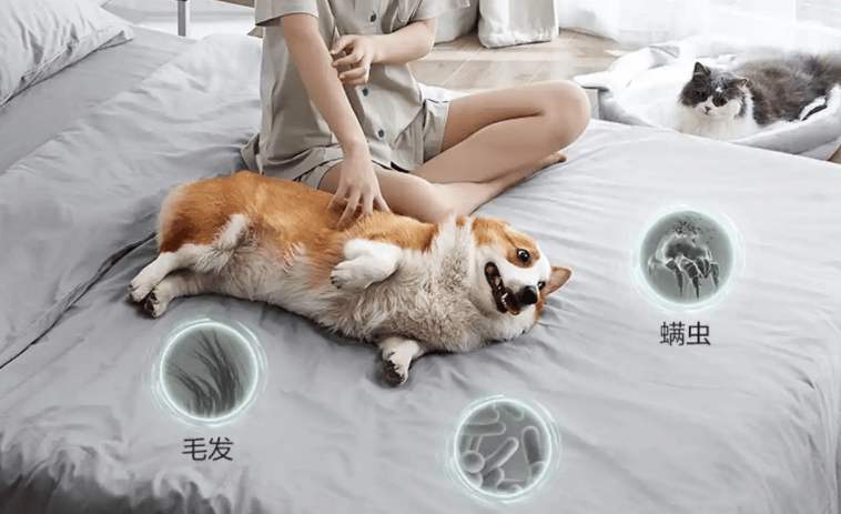 家用除螨仪什么品牌的好?精选2025年度家用除螨仪第一名