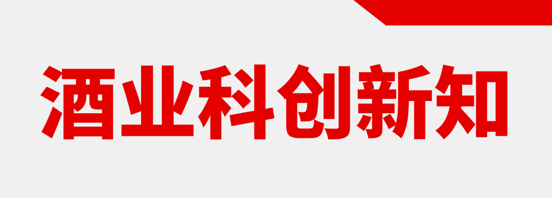 翻译错误：Unexpected character encountered while parsing