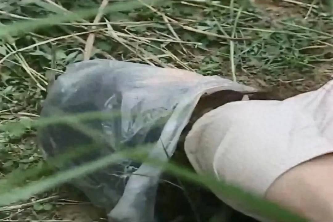 少女被害三年终破案,1987年东沟县长山镇"7·22"女尸案侦破始末