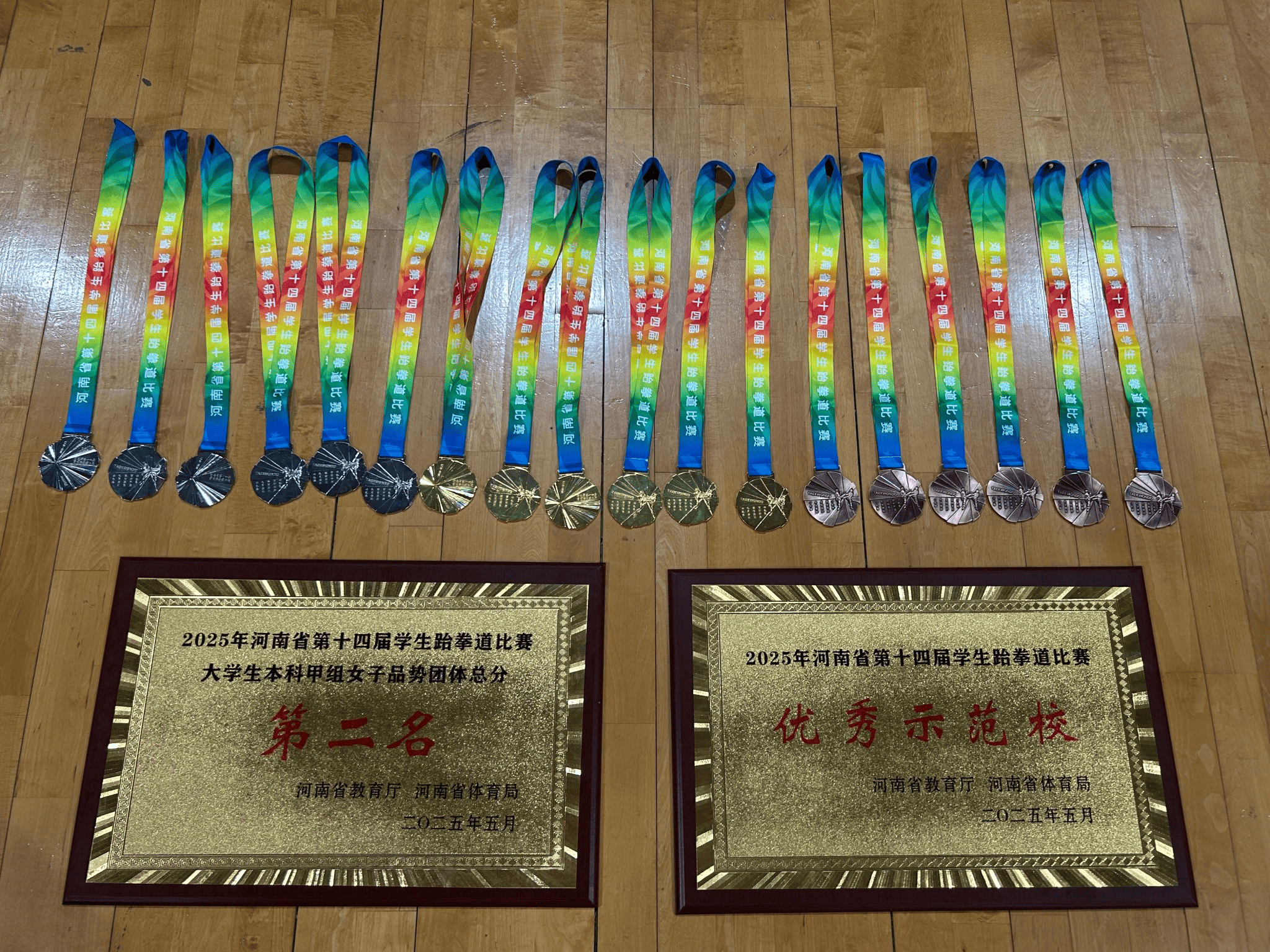 6金6银7铜!郑州升达经贸管理学院跆拳道队获佳绩