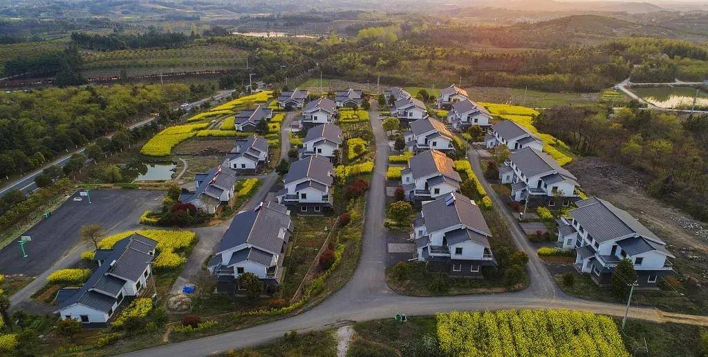 涂榜单丨2025年“名流杯”中国别墅涂装优选作品结果出炉，全国金银铜奖花落谁家？ 