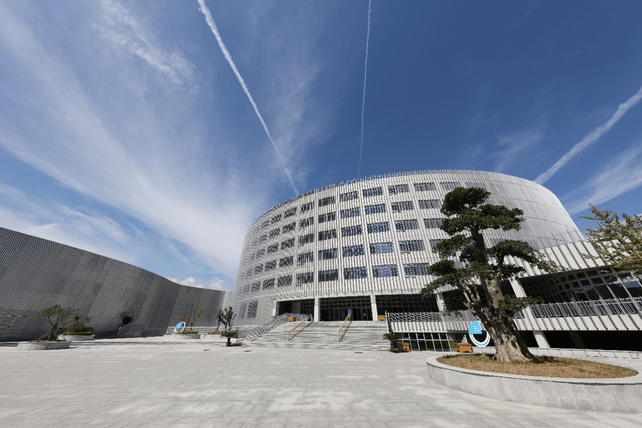 青岛家长速看!金家岭学校开放咨询中!